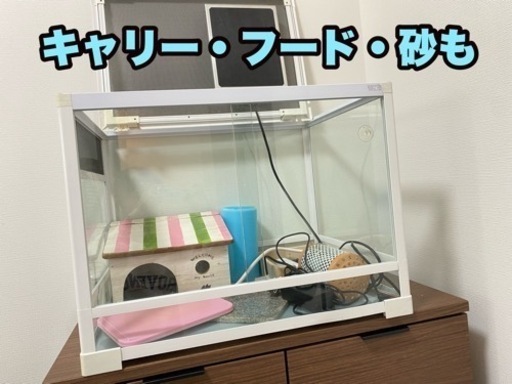 ハリネズミケージと飼育用品
