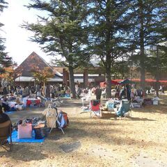 5月の島内公園フリーマーケット - 松本市