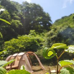 （個人売買）海まで5分。森に囲まれた葉山堀内森戸土地。大自然のプ...