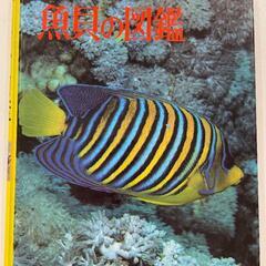 魚貝の図鑑