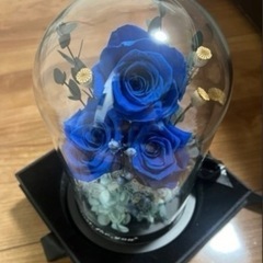 薔薇の花