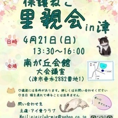 保護猫の里親会(譲渡会)in津市