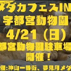 宇都宮動物園　メダカフェス　初開催❇️めだか　イベント　