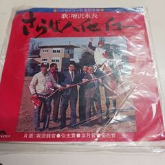 (中古 EPレコード)さらば！ハイセイコー-増沢未夫