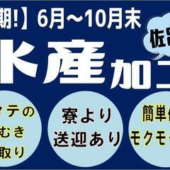 【短期☆6月～10月末】ホタテの貝むき作業〈佐呂間〉の画像