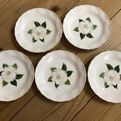 ハナエモリ　かわいい花柄のお皿５枚組