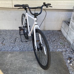 アニマート ANIMATO マッドサーフ MUD SURF サイズ500mm