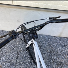 アニマート ANIMATO マッドサーフ MUD SURF サイズ500mm