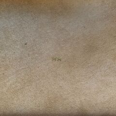 エルメス  灰皿　 王者の虎　 陶器