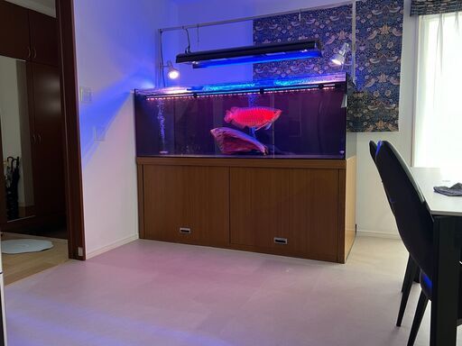 1800 × 750 × 600 4面ブラック（艶なし）アロワナ専用オーバーフロー水槽
