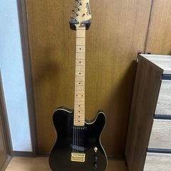 バッカスネック、TEJボディ Seymour Duncan