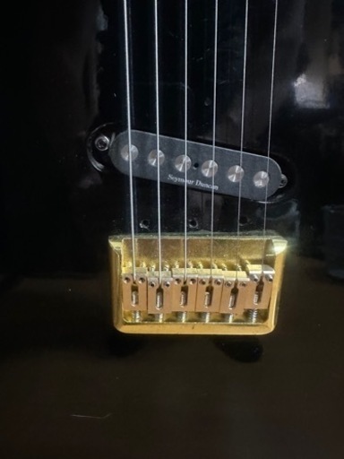 バッカスネック、TEJボディ Seymour Duncan 【公式通販】