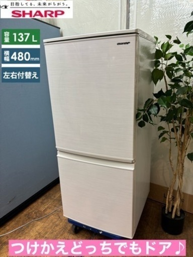 I704  SHARP 冷蔵庫 (137L) 2ドア ⭐ 動作確認済 ⭐ クリーニング済
