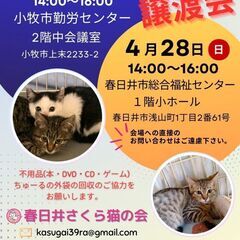 小牧勤労センターにて『猫の譲渡会』が4/7(日)に開催されます。