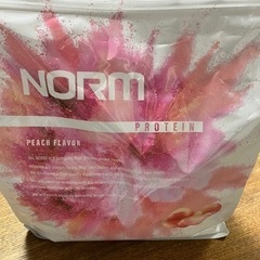 NORM プロテイン　ピーチ　1000g