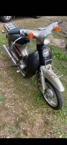 リトルカブ50