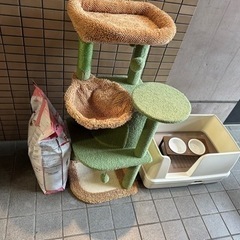 猫飼う用品