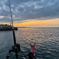 🆙更新🆙🎣5月・6月釣行🎣仲間募集🛥️