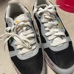 PUMAスニーカー　26センチ