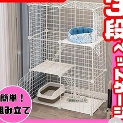 猫、ゲージ！！