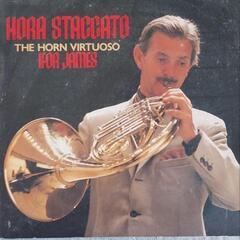 レコード　レア　HORA　STACCATO