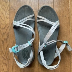 Teva サンダル28cm