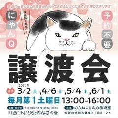 ４月６日猫譲渡会in 池田市