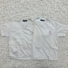 めぐみ幼稚園　園Ｔシャツ　半袖　Mサイズ