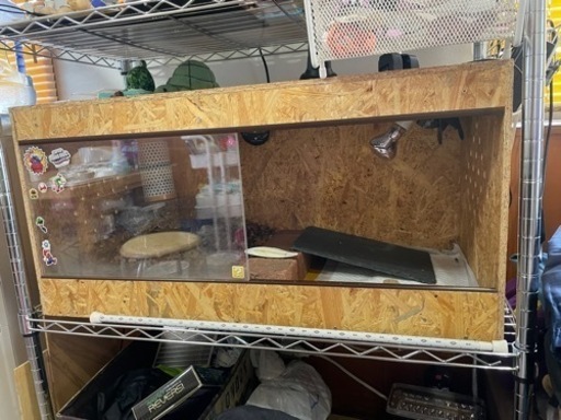 爬虫類ゲージ