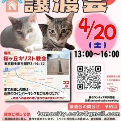 【4月20日(土)】保護猫譲渡会 in 多摩市