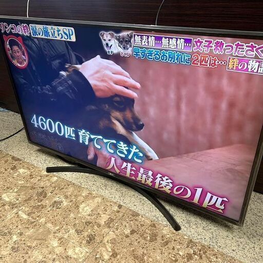 LG 55型液晶テレビ 55UK6300PJF 2019年製 4K対応モデル 札幌 東区 店頭引取歓迎