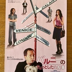 映画フライヤー