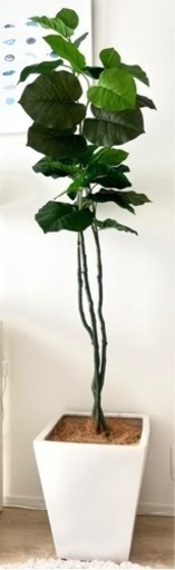 フェイクグリーン　人工観葉植物　大型　170cm