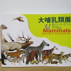 大哺乳類展　陸のなかまたち　国際生物多様性年　Mammals D...