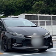 ウィッシュ ヘッドライト イカリング