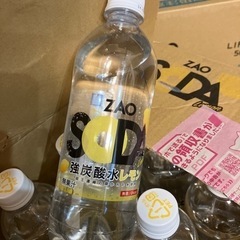 【1本40円】強炭酸ソーダレモン500ml 