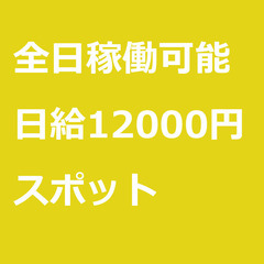 【スポット案件/急募】【日給12000円】大阪府泉大津市 …