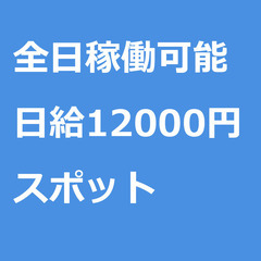 【スポット案件/急募☆】【日給12000円】大阪府岸和田市 / ...