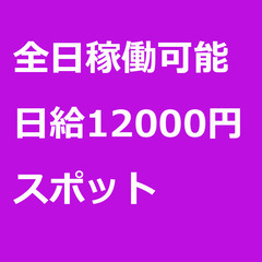 【スポット案件/急募⭐】【日給12000円】京都府長岡京市 / ...