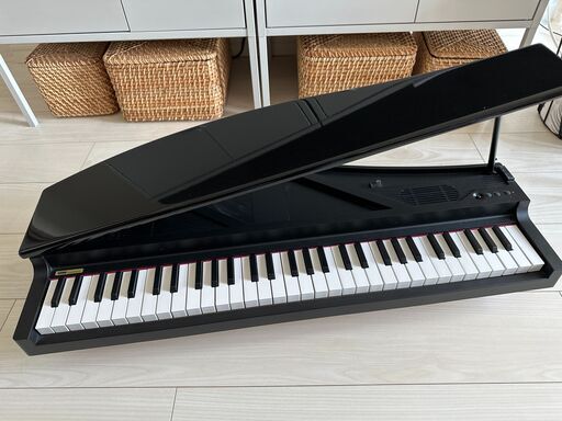 鍵盤楽器、ピアノ KORG MICRO PIANO