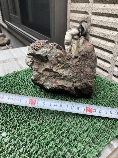 赤石　盆栽石　水槽石　水玉　コレクション　箱庭