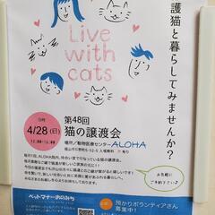 4月28日福山で保護猫の譲渡会