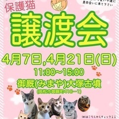 4/7(日) 保護猫譲渡会@アニマルスマイル香川