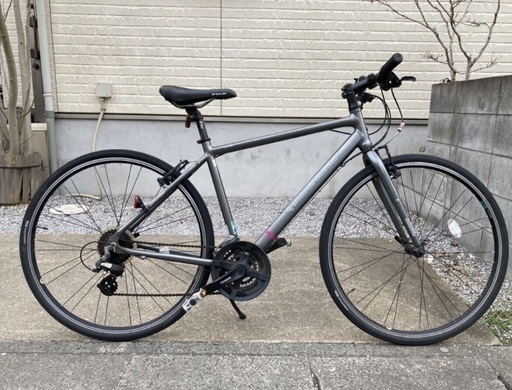 BRIDGESTONE シルヴァF24 CYLVA F24 ガンメタ色 サイズ480mm