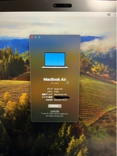 M1 MacBook Air 13インチ 2020 バッテリー100% バッテリー100% MacBook