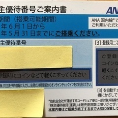 【ネット決済・配送可】ANA株主優待券