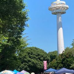 ◎５月１１日（土）「所沢航空記念公園　フリーマーケット」開催 - 所沢市