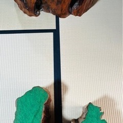 屋久杉テーブル(一枚板)①