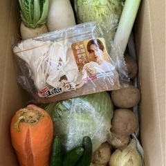 野菜セット(有り合わせ盛り)1セット限り