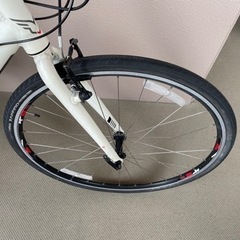 FELT V110F サイズ45 乗って帰れます